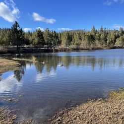 Sawmill Pond - View