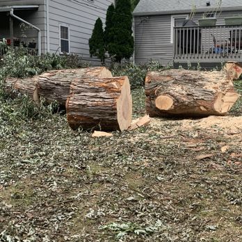 Columbus Tree Company - Tree Services Near Me - Columbus, Ohio Columbus Tree Company - Tree Services Near Me - Columbus, Ohio