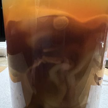 Chen Express - Wonton Soup that is full of wonton dumplings. - Chinese Near Me - Birmingham, Alabama Chen Express - Wonton Soup that is full of wonton dumplings. - Chinese Near Me - Birmingham, Alabama