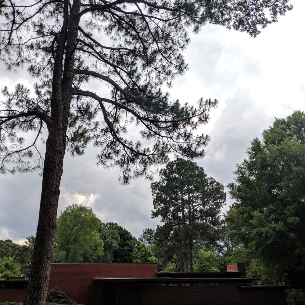 The Rosenbaum House - Landmarks & Historical Buildings Near Me - Florence, Alabama