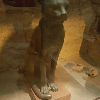 Field Museum - Museums Near Me - Chicago, Illinois