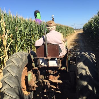 Perry's Pumpkin Farm - Hay ride - Pumpkin Patches Near Me - Sacramento, California Perry's Pumpkin Farm - Hay ride - Pumpkin Patches Near Me - Sacramento, California