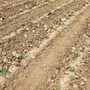 Photo of Hunger Task Force The Farm