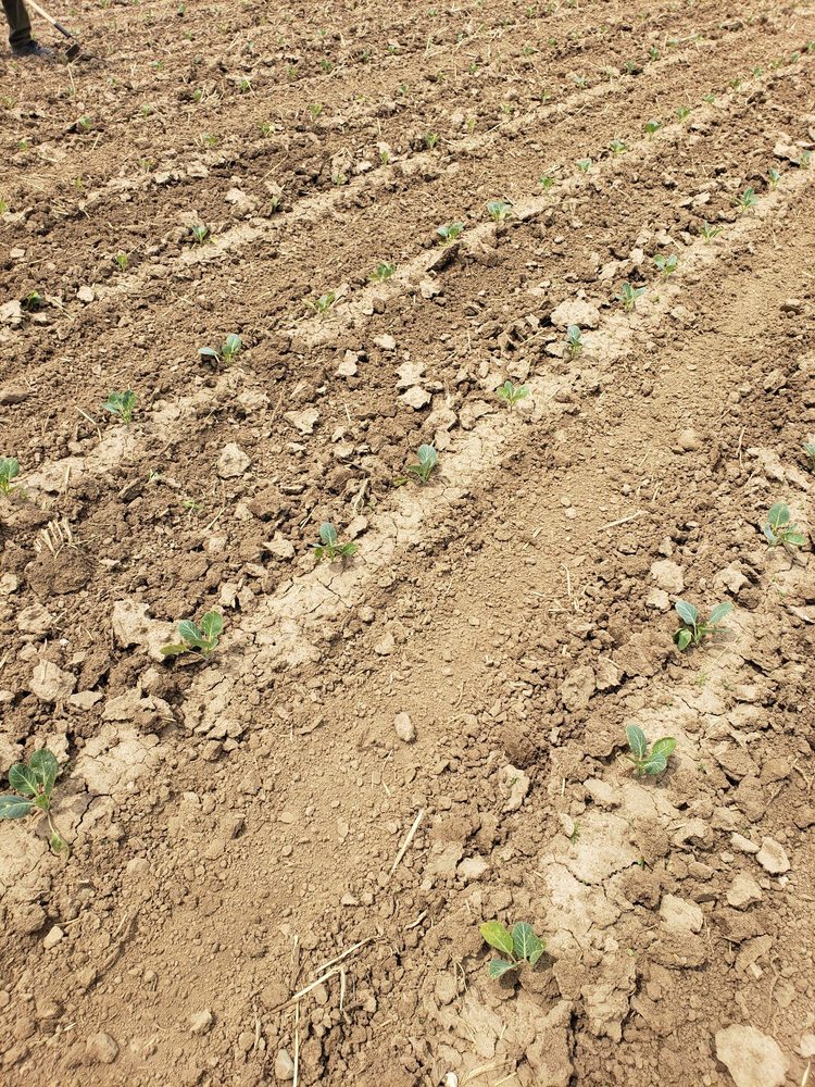 Hunger Task Force The Farm - social services organization in Franklin, WI