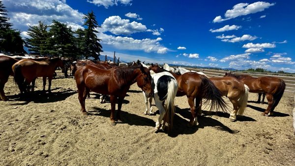 Lost Creek Ranch & Spa by null