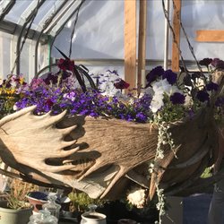 Lost River Gardens - Moose Basket