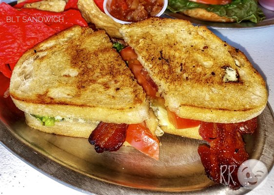 Chattooga Belle Farm by null