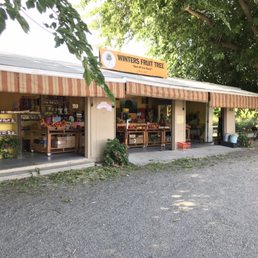 The front