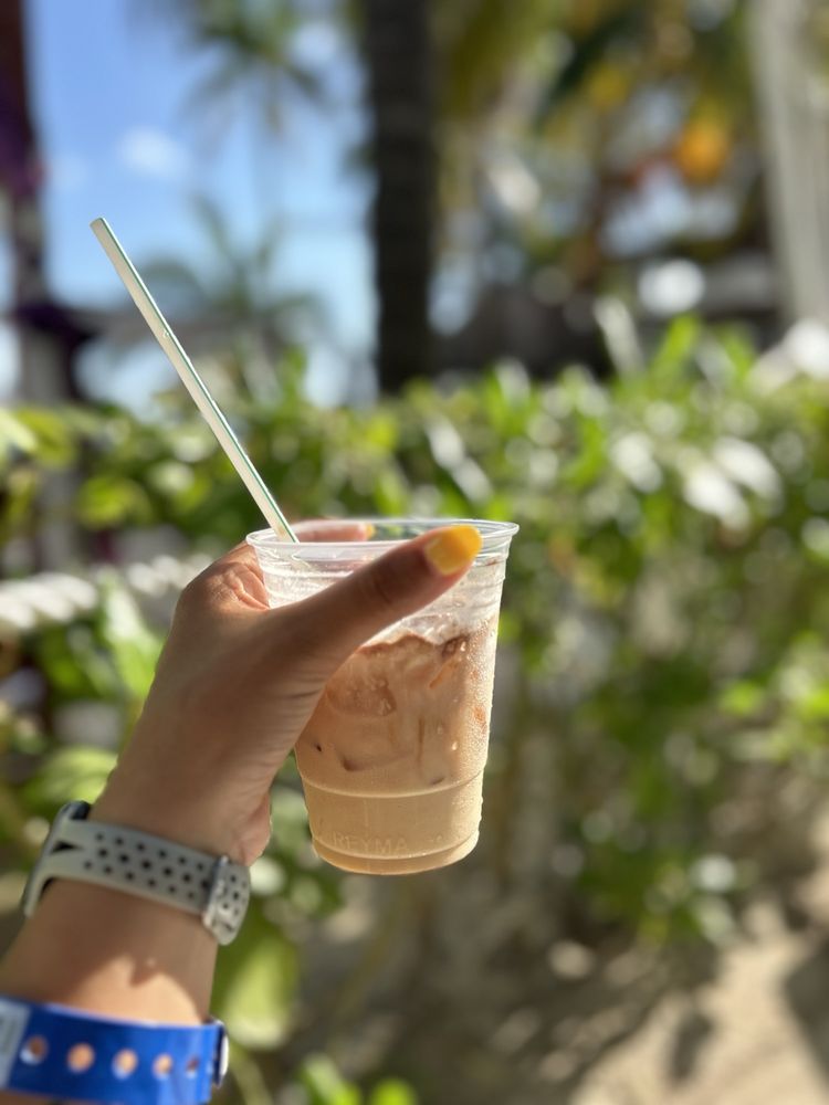 Grand Oasis Palm