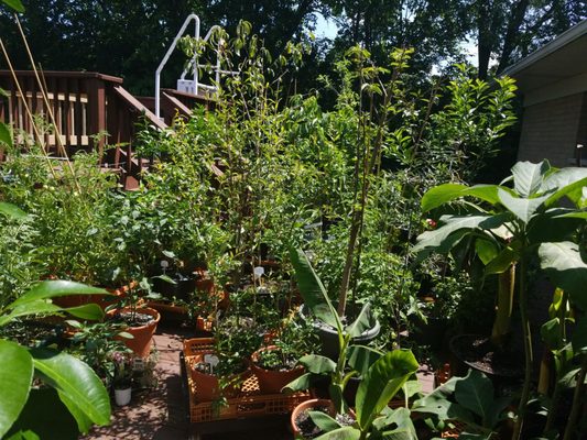 Ty Nursery 4723 Us Highway 82 W Ga Nurseries Mapquest Ty Nursery 4723 Us Highway 82 W