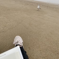 Meeting the locals