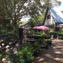 Photo of Tea House