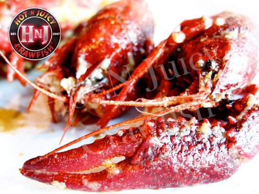 Hot N Juicy Crawfish by null