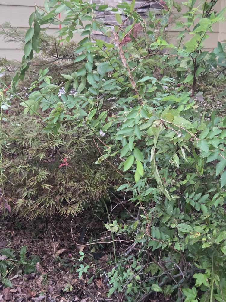 Slide of Top Pitch Storm & Disaster Services