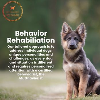 MuttHaviorist - Behavior Rehabilitation Capabilities and program through the Mutthaviorist - Pet Training Near Me
