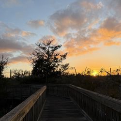 Castaway Island Preserve