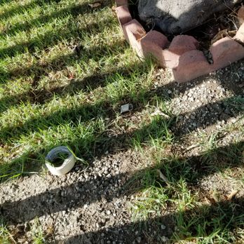 The Pink Guy - More trash left in our yard. - Handyman Near Me The Pink Guy - More trash left in our yard. - Handyman Near Me