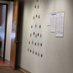 David McEwan, MD - Christmas tree in Dr. Kuriyama's office... I like it!