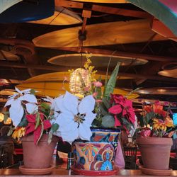 Clancy's Cantina