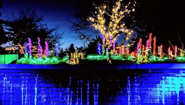 Garden d’Lights by null