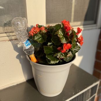 Motel 6 - Interesting plant watering system - Hotels Near Me - Carlisle, Pennsylvania Motel 6 - Interesting plant watering system - Hotels Near Me - Carlisle, Pennsylvania