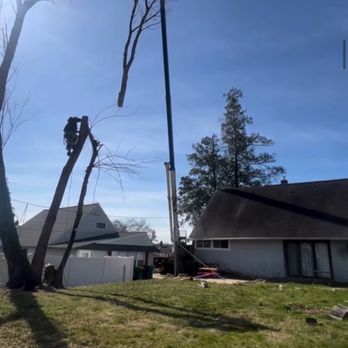 Tomahawk Tree Service - Tree Services Near Me - Morrisville, Pennsylvania Tomahawk Tree Service - Tree Services Near Me - Morrisville, Pennsylvania