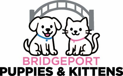 BRIDGEPORT PUPPIES & KITTENS - Updated January 2026 - 4320 Main St