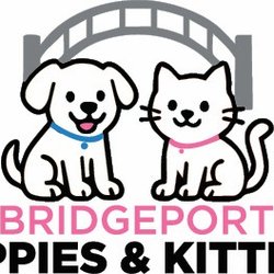 Bridgeport Puppies & Kittens