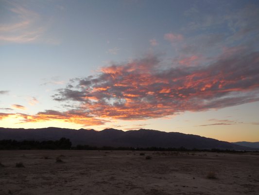 Furnace Creek Campground by null
