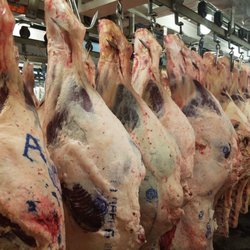 Kissin Fresh Meats, Inc.