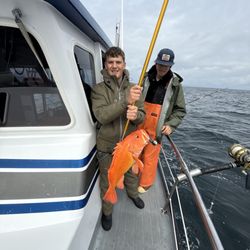 J-Dock Sport Fishing - Rock fish