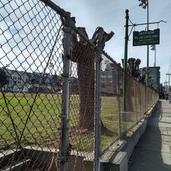 Jackson Playground