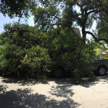 H & E Tree Service - Tree Services Near Me H & E Tree Service - Tree Services Near Me