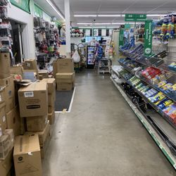 Dollar Tree - Aisle that are waiting to be stocked.