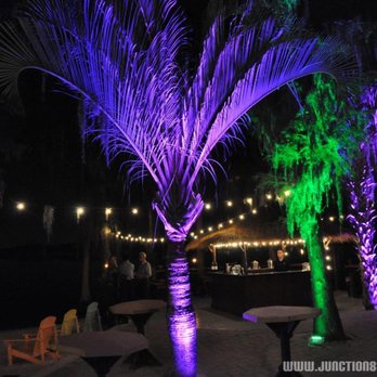 Junction 88 Productions - Paradise Cove - DJs Near Me Junction 88 Productions - Paradise Cove - DJs Near Me