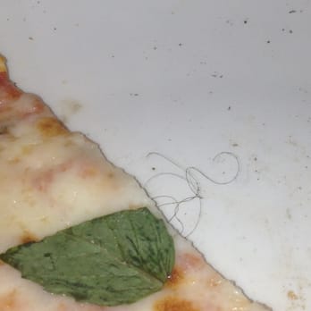 Piatti - a hair in the pizza! - Italian Near Me - San Antonio, Texas Piatti - a hair in the pizza! - Italian Near Me - San Antonio, Texas