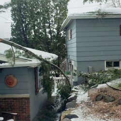 Doyle Gutter Service - Damaged gutter from the branch knocked down from an ice storm.