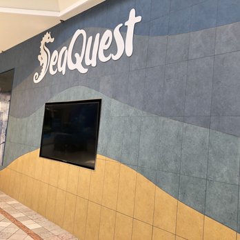SeaQuest - Woodbridge - Aquariums Near Me - Woodbridge, New Jersey