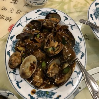 Dragon City - Clams in Black Bean Sauce - Seafood Near Me - Hollywood, Florida Dragon City - Clams in Black Bean Sauce - Seafood Near Me - Hollywood, Florida