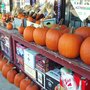 Photo of Eckel's Market