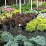 Photo of Green Care Landscaping