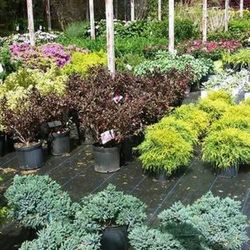 Green Care Landscaping