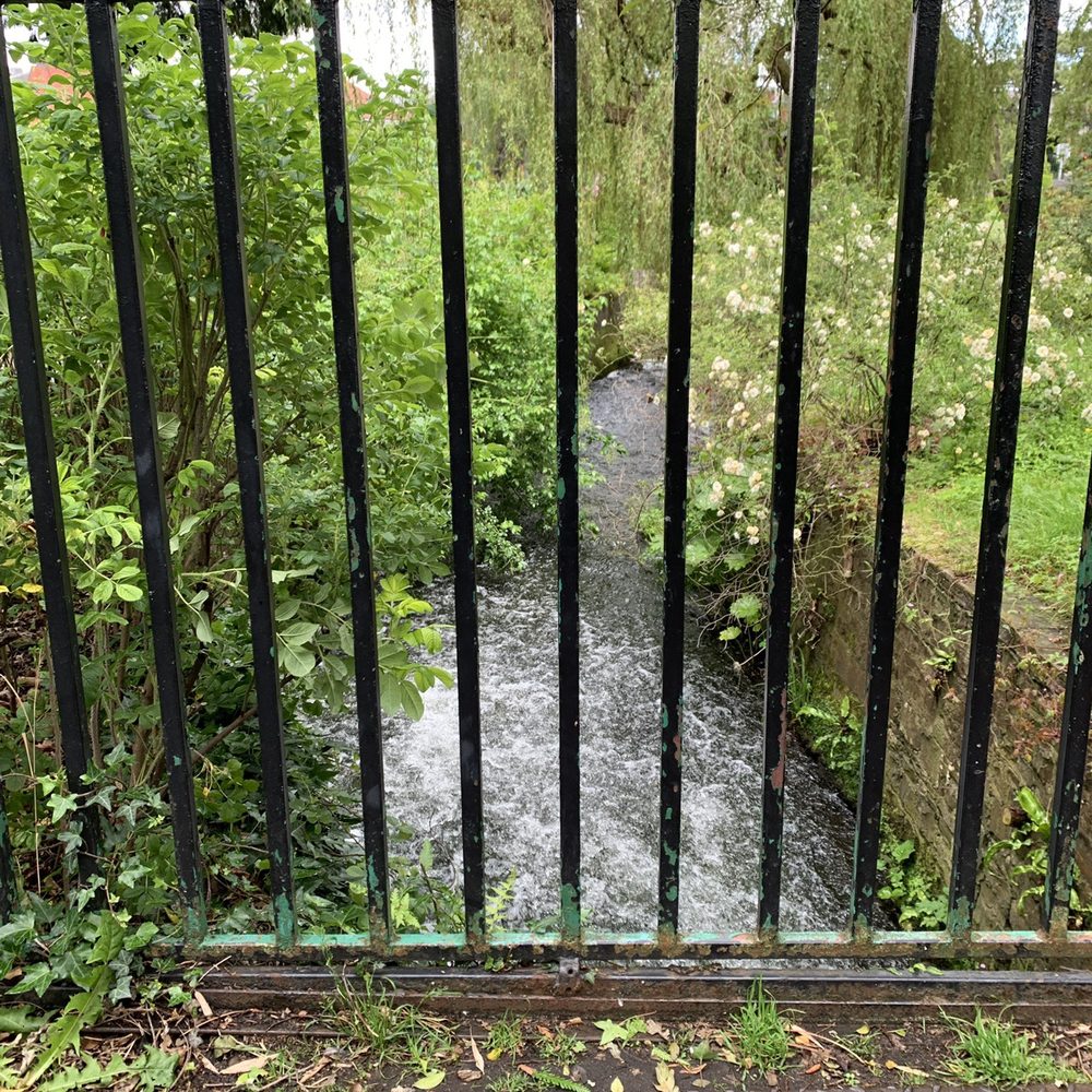 National Botanic Gardens - Parks Near Me - Glasnevin, D