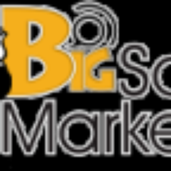 Big Social Marketing - Let Big Social Marketing.com help you with your business!