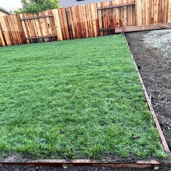 Padilla's Premier Lawn Care - Lawn Services Near Me Padilla's Premier Lawn Care - Lawn Services Near Me