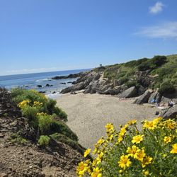 Leo Carrillo State Park