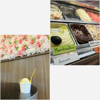 Gelato Bar by null