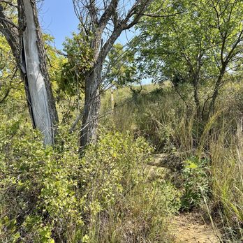 Kanopolis Lake State Park - This way - Parks Near Me - Marquette, Kansas Kanopolis Lake State Park - This way - Parks Near Me - Marquette, Kansas