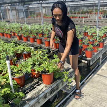 Joseph's Nursery - Nurseries & Gardening Near Me - Pearland, Texas