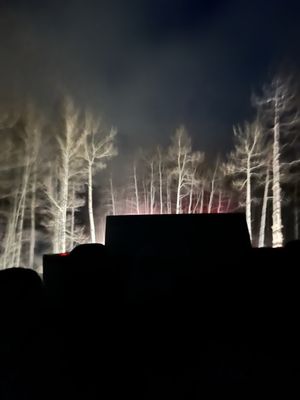 Beano's Cabin by null